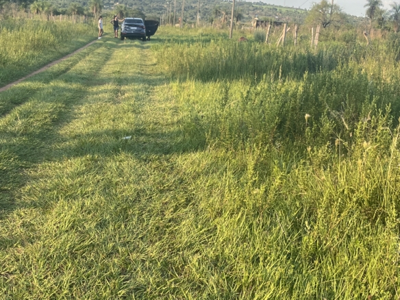 Terreno