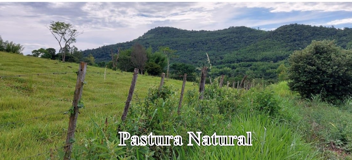 Granja-Modelo