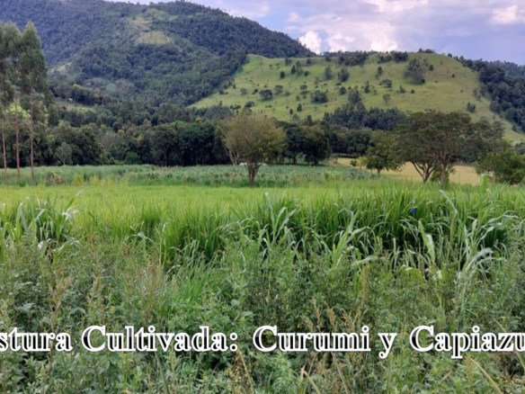 Granja-Modelo
