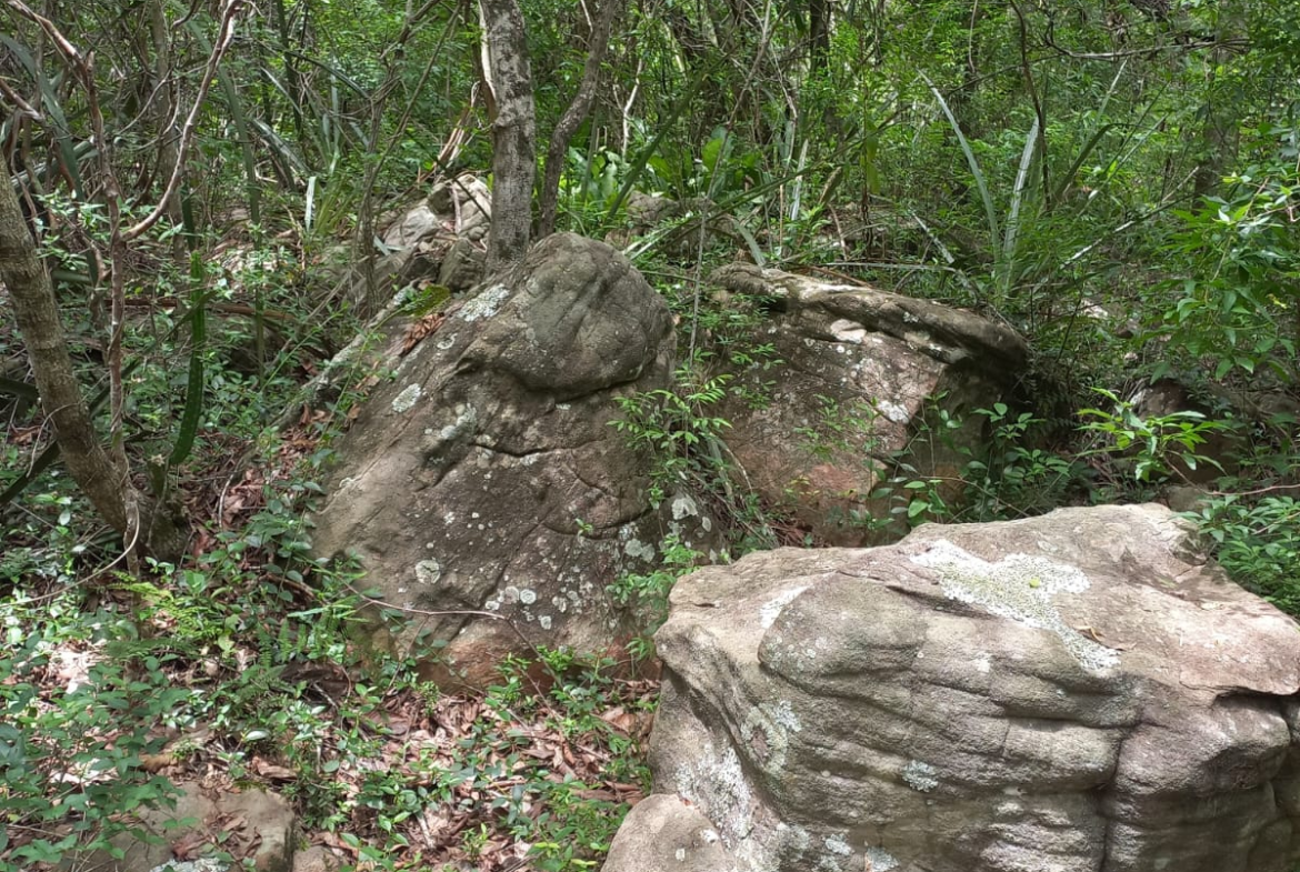 “Paraíso Escondido”