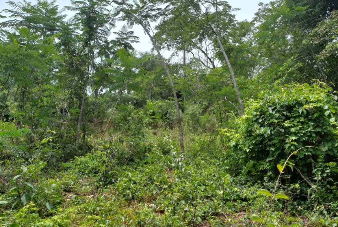 “Paraíso Escondido”