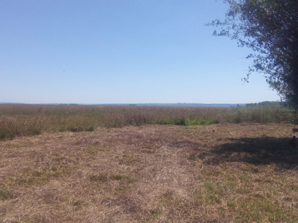 Vendo 126 ha en Iturbe – Guaira Paraguay