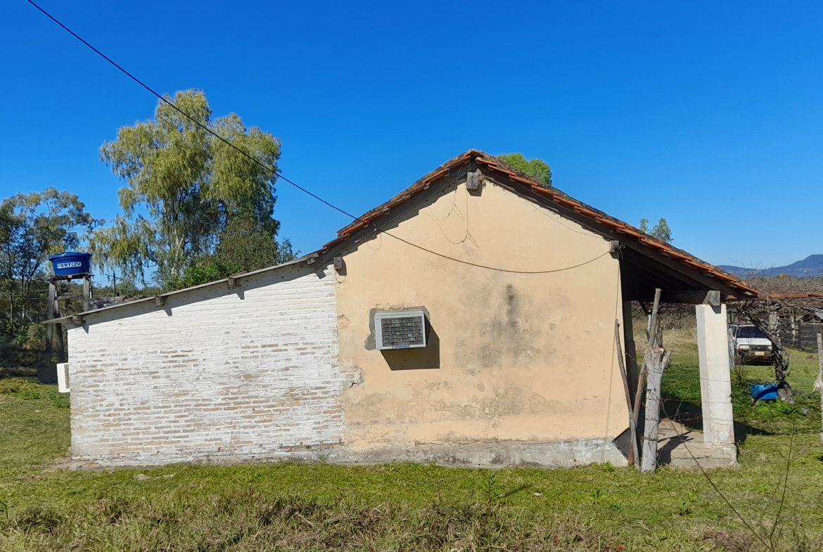 15 ha Campo con casa + Granja lista para producir en La Colmena