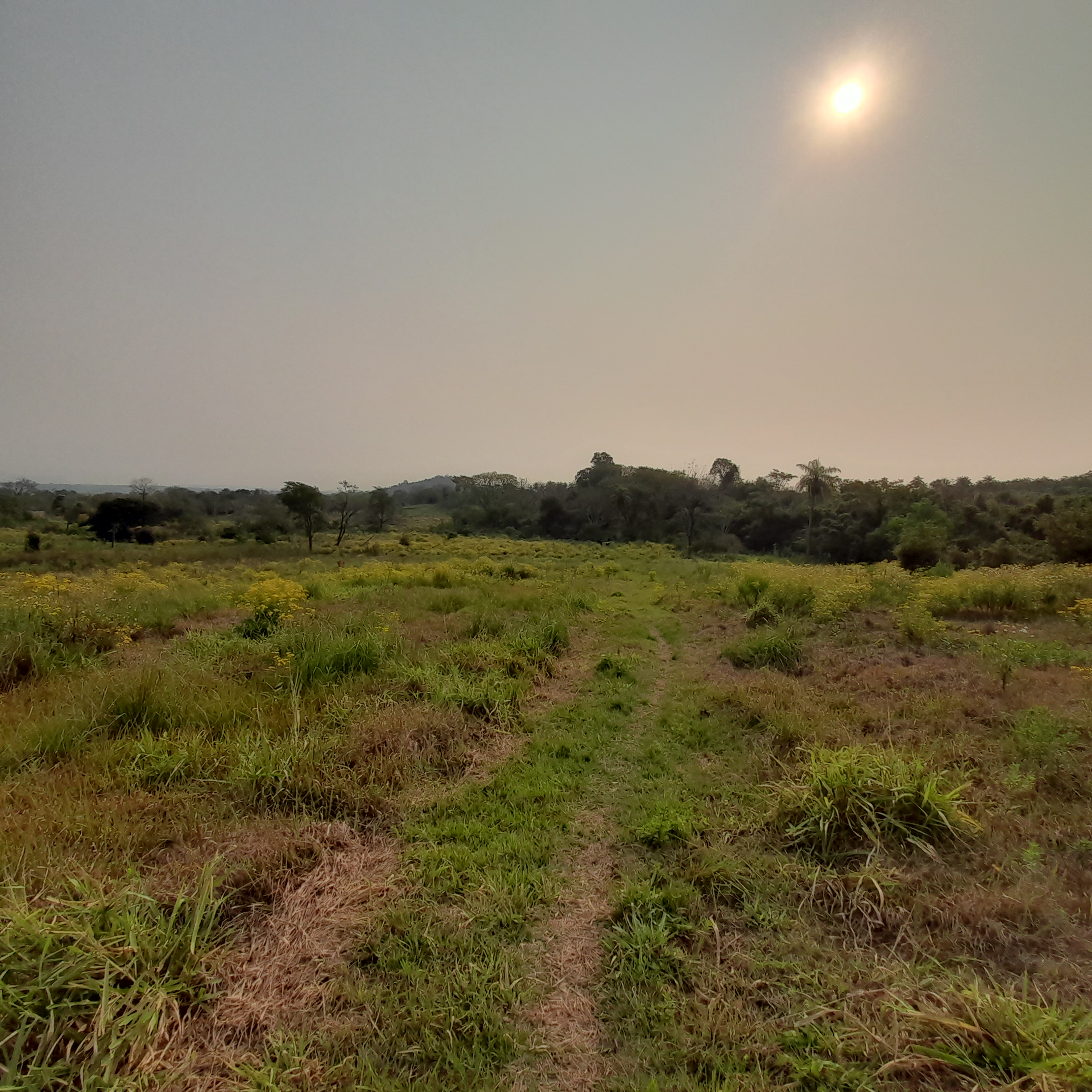 05 15 ha Campo con casa + Granja lista para producir en La Colmena