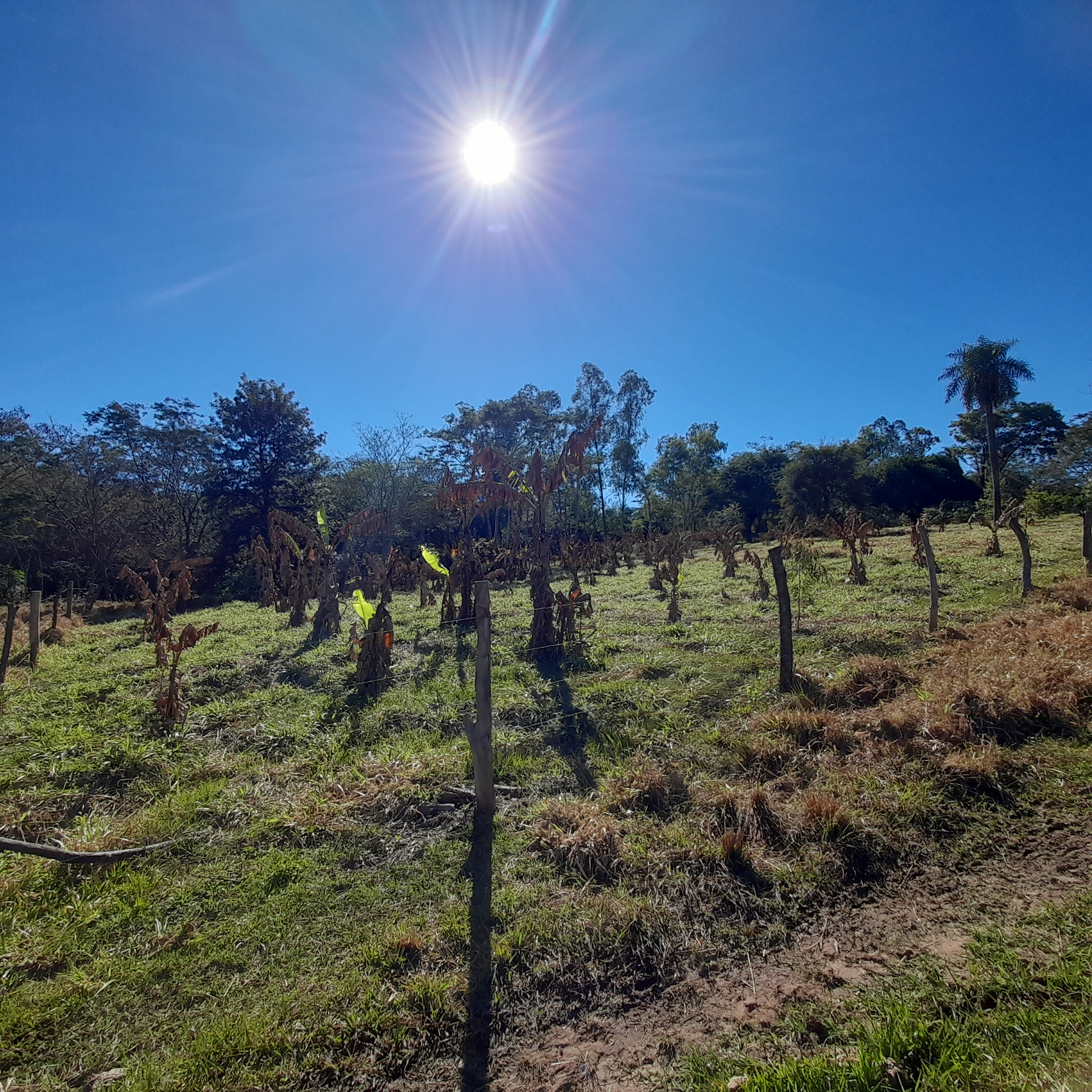 06 15 ha Campo con casa + Granja lista para producir en La Colmena