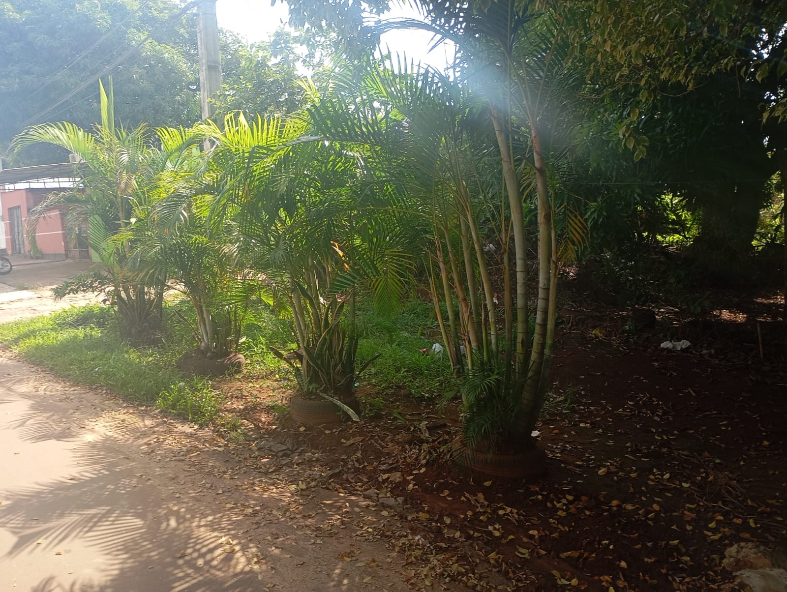 WhatsApp Image 2026-08-16 at 10.28.00 (1) Vendo Terreno en Ciudad del Este